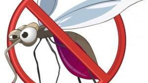 9 Ways to Keep Your RV Bug-free - Xtend Outdoors