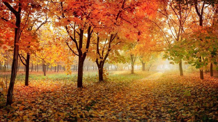 Best Places in Australia to Visit in Autumn - Xtend Outdoors