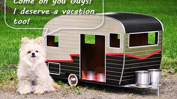 Simple Pet Care Tips for a Pet Friendly Caravan Holiday - Xtend Outdoors