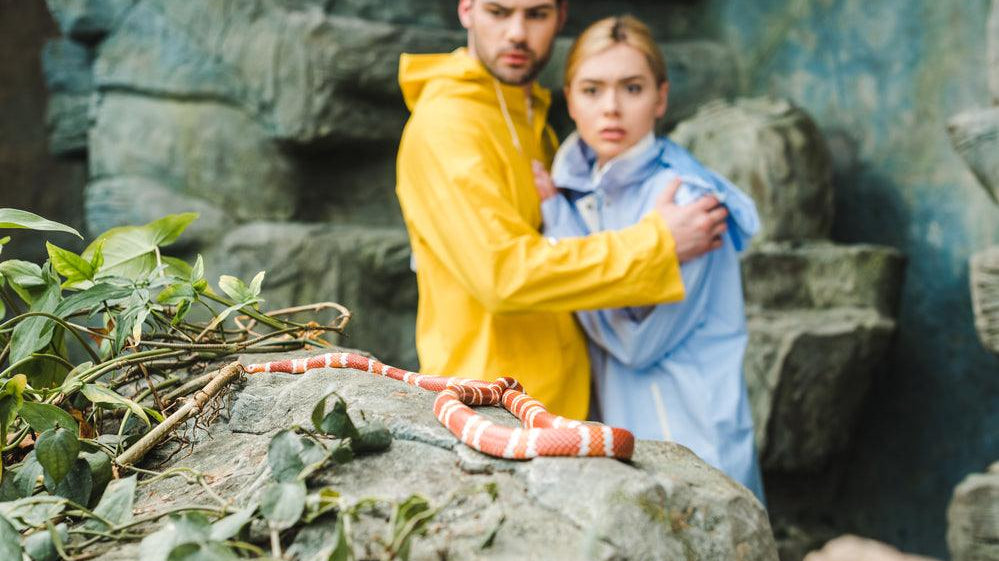 Outback Camping: How to Avoid a Snake Bite - Xtend Outdoors