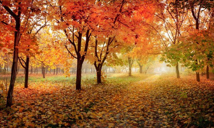 Best Places in Australia to Visit in Autumn - Xtend Outdoors